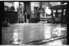 s_FloorEvent5-001