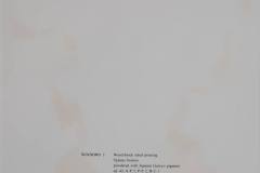 s-P4100039